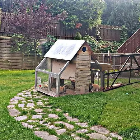 Nocleg ze śniadaniem U Bzyka 3*